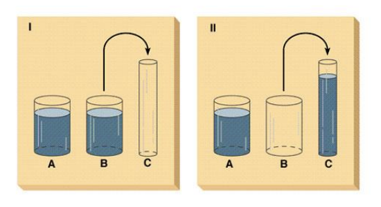 <ul><li><p>Children in the PO stage often incorrectly assume that water in C > water in A or water in B</p></li><li><p>Children in subsequent stages often correctly understand that water in C = water in A = water in B</p></li><li><p>They see the movement of water between the containers</p></li></ul><p></p>