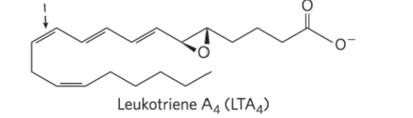 <p>Function?</p>