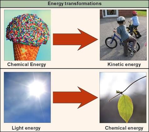 <p><span>States that energy cannot be created or destroyed. It changes from one form to another</span></p><ul><li><p>energy cannot be created or destroyed, but it can be transferred or transformed from one form to another</p></li></ul><p></p>