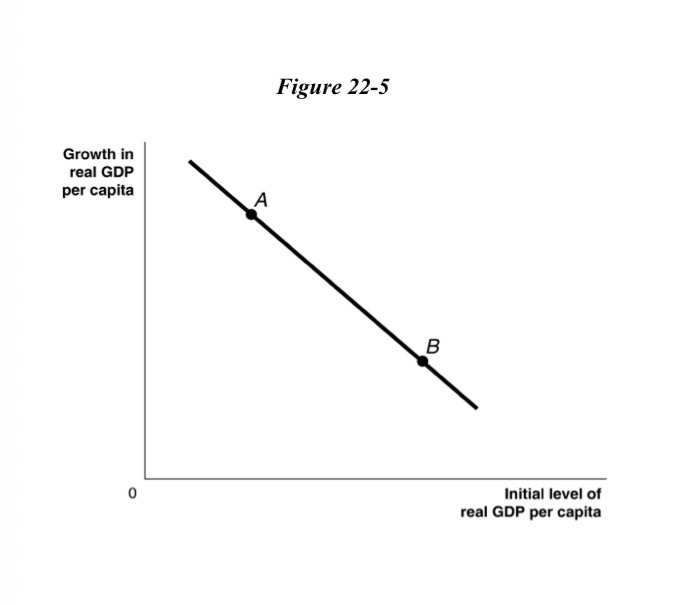 <p>Based on the "catch-up line" drawn above, poorer countries are more likely to be at a</p><p>point like ________, where growth in GDP is relatively ________, while richer countries are more likely to be</p><p>at a point like ________, where growth in GDP is relatively ________.</p>