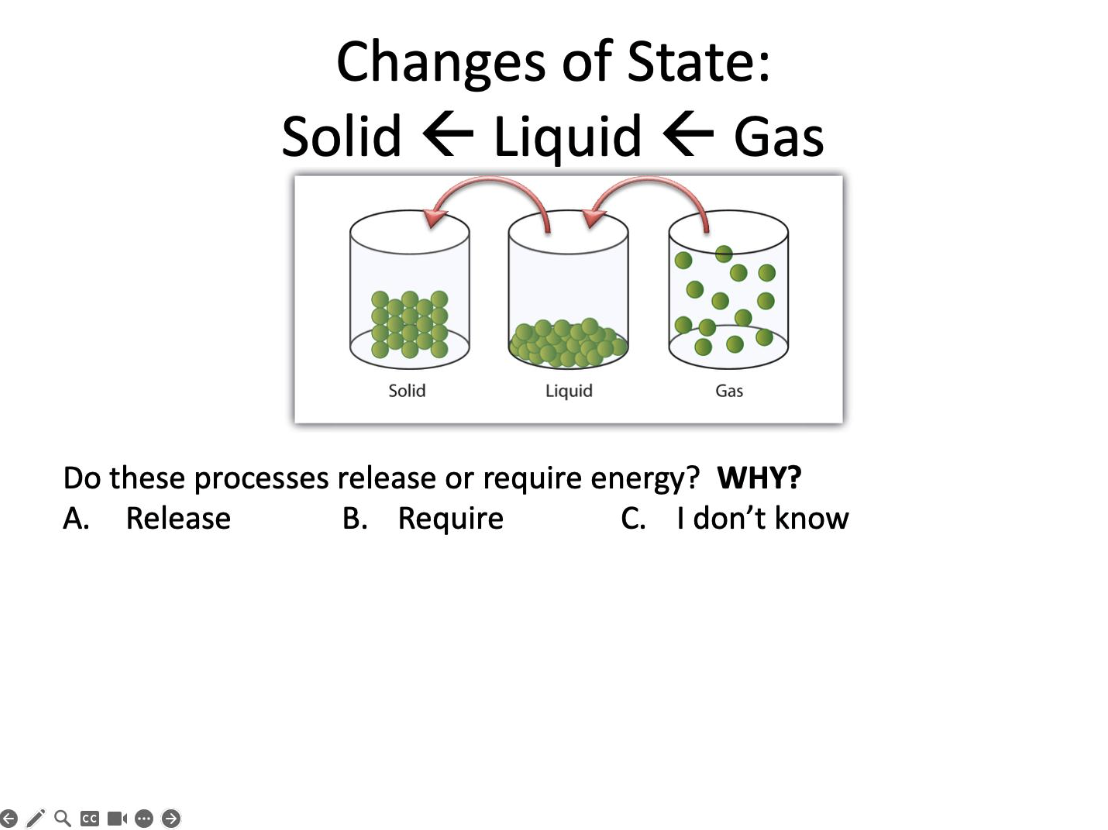 <p>Do these processes release or require energy?</p>