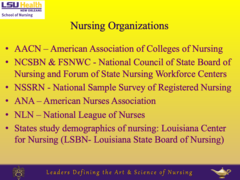<p>American Nurses Association</p>