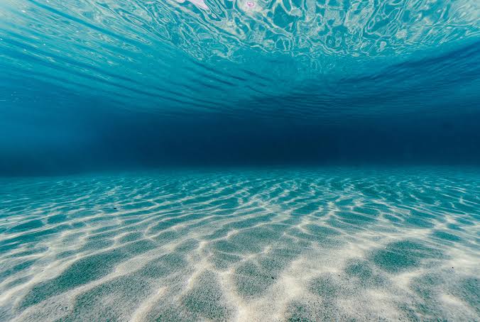 <p>seabed/ sea floor</p>