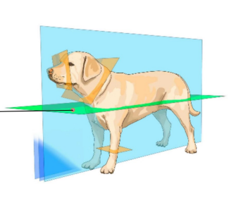 <p>Answer</p>
