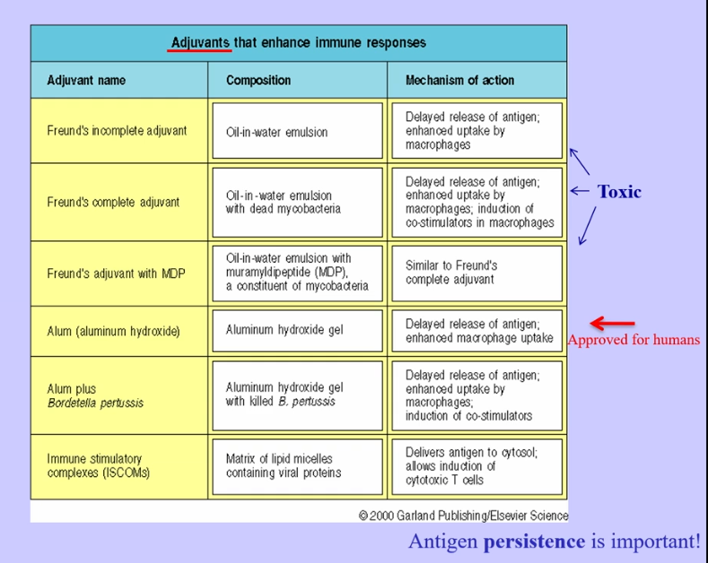 <p>mRNA vaccines </p>