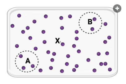 <p>The figure shows a container in which a set of identical molecules (purple dots) are diffusing. &nbsp;Two areas of equal size are designated by dashed lines (area A and area B). &nbsp;The molecule labeled as X is the same distance from area A and from area B.<br>Which statement is correct?</p><p><br>a. Molecule X will more likely diffuse to area A before diffusing to area B.<br>b. Molecule X will more likely diffuse to area B before diffusing to area A.<br>c. Molecule X is equally likely to diffuse to area A or area B.</p>