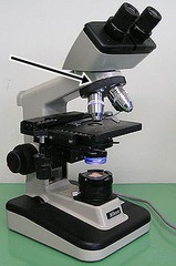 <p>What part of the microscope does the arrow indicate</p>