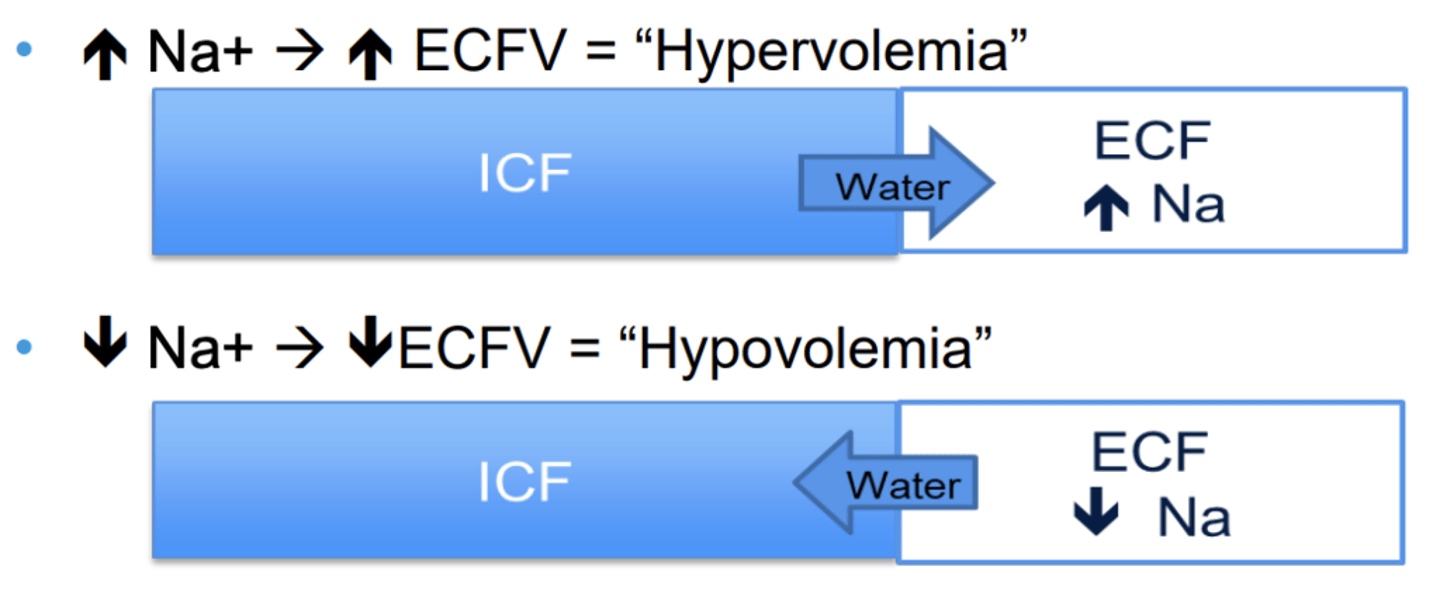 <p>total amount of Na+ in the ECF and volume status of the patient</p>