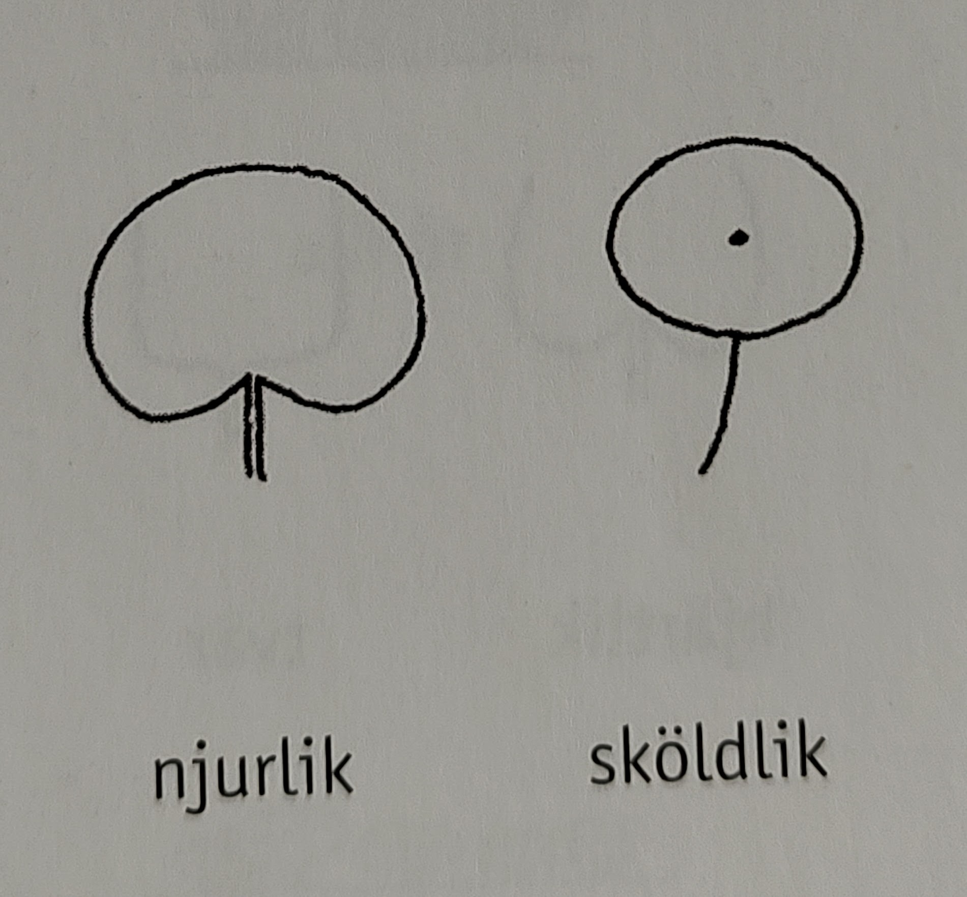 <p></p>