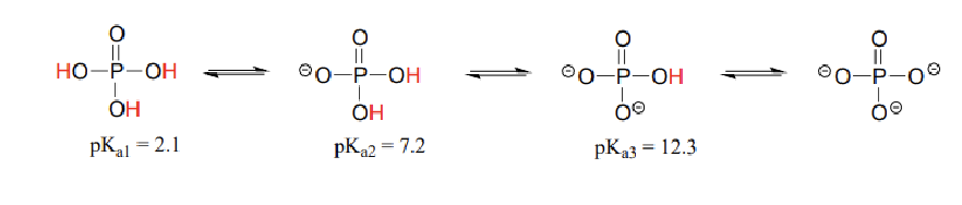 <p>an acid that can lose more than one per molecule in an acid base reaction</p>