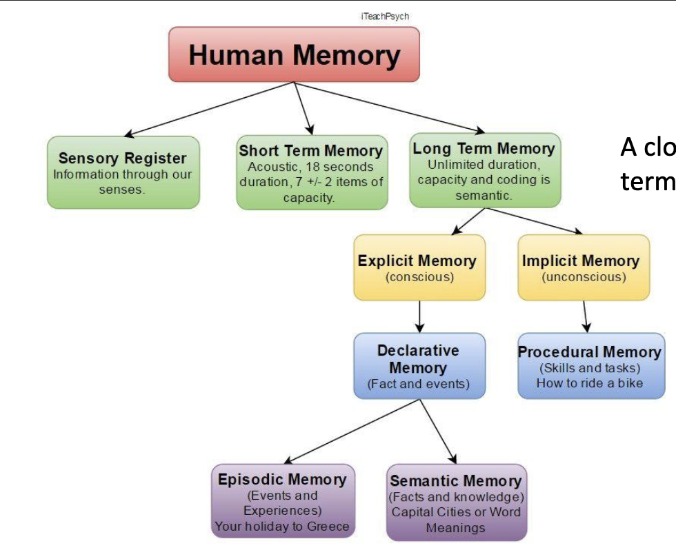 <p>Explicit memory goes into</p><ul><li><p>Declarative memory </p></li></ul><p></p>