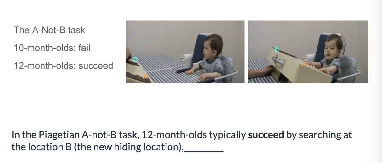 <ol><li><p><span>only when they have never seen the object hidden at location </span></p></li><li><p><span>even after seeing the object hidden at location A&nbsp;in the previous trials</span></p></li></ol><p></p>