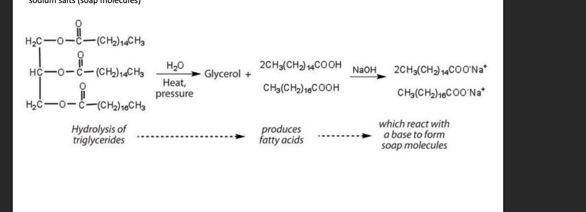 <p>Triglycerdide reacts with Base</p><p>Fatty Acids gets exposed </p><p>Base breaks the carboxyl ends of the fatty acids</p><p>Creates salt of fatty acids </p>