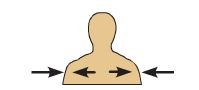 <p>toward or at the body surface</p>