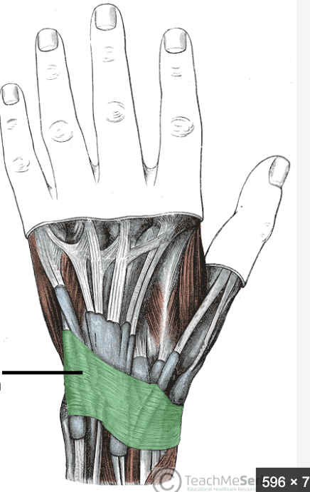 term image
