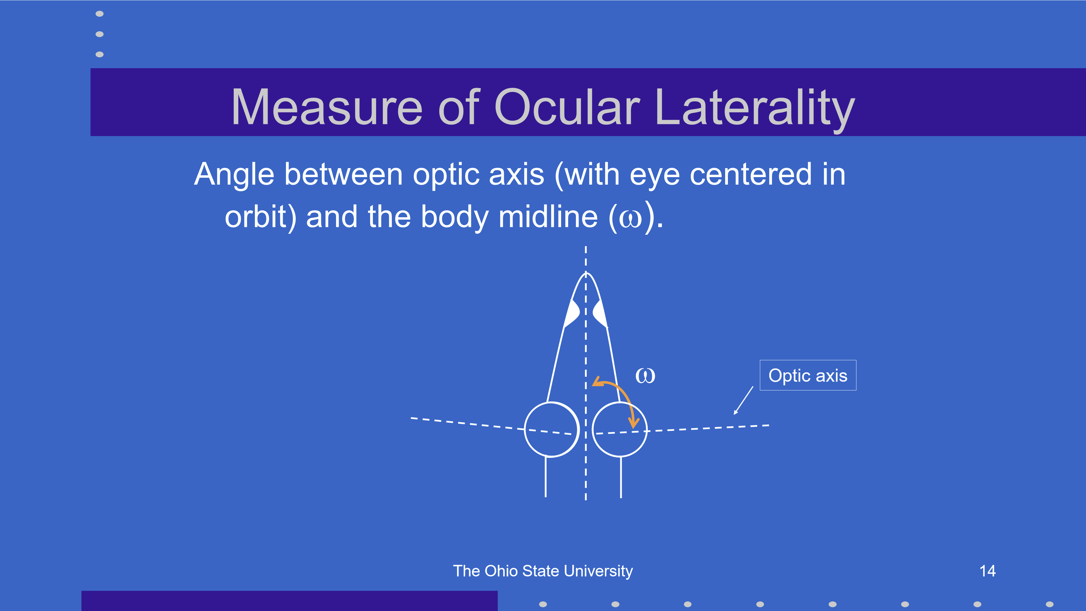 <p>Ocular laterality is measured by the angle ω (omega) between the optic axis of the eye, with the eye centered in the orbit, and the body midline.</p>