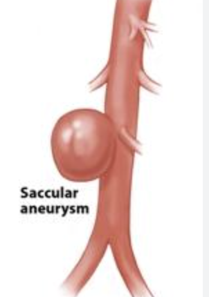 <p>looks like sac</p>