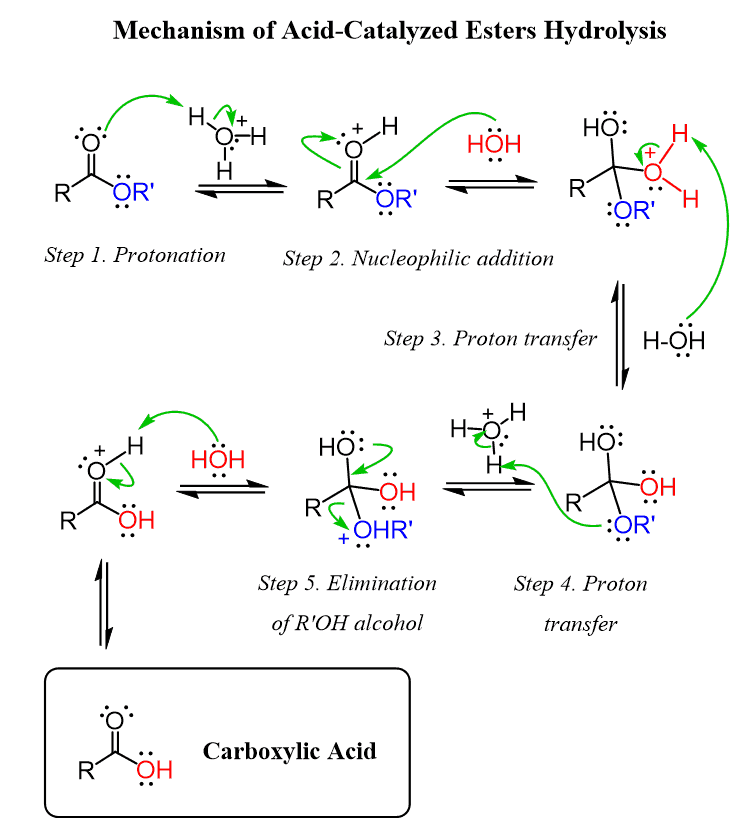 <ul><li><p>Amide Needs Heat </p></li></ul><p></p>
