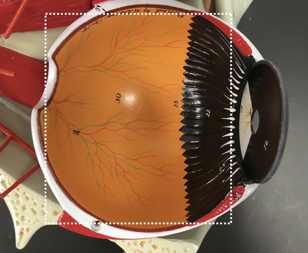 <p><span>name the SPACE indicated</span></p>