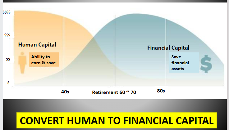 <p>How is human capital converted into financial capital over the life cycle?</p>