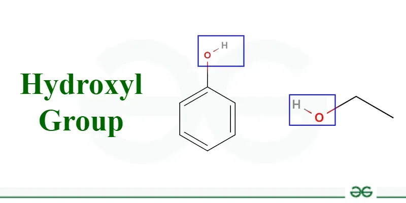 <p>-OH</p><ul><li><p>Examples: steroids, alcohol, carbohydrates, some amino acids </p></li><li><p>Properties: polar; forms hydrogen bonds with water </p></li></ul><p></p>
