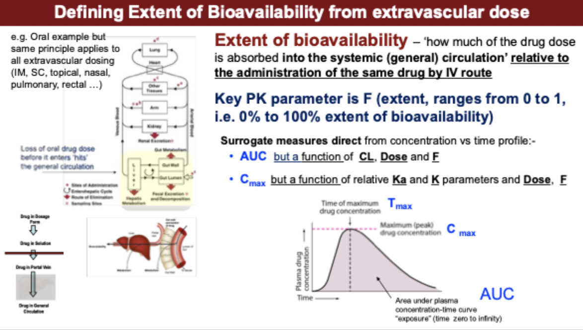 <p>extent of bioavailability from extravascular dose</p>