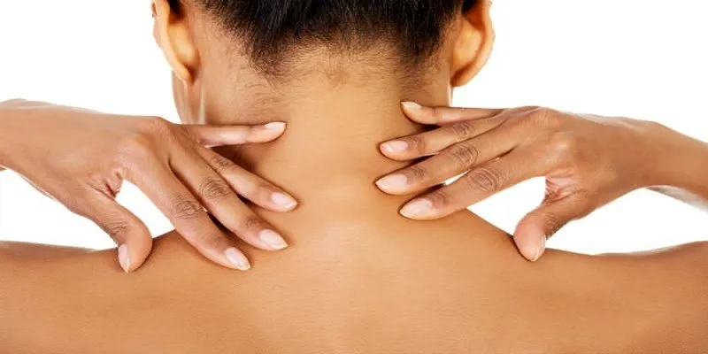 <p>the area at the back of the neck, where the head meets the neck.</p>