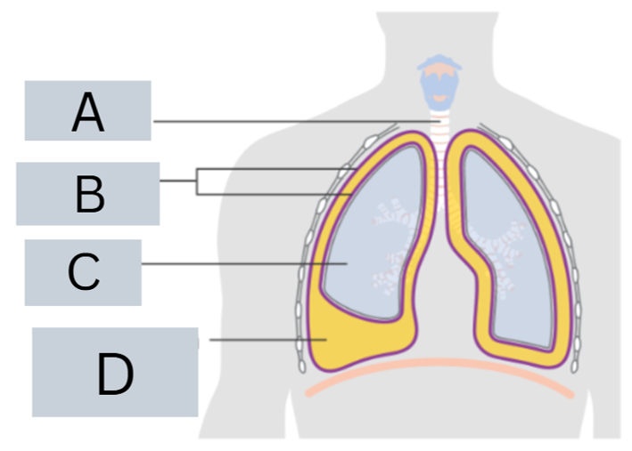 <p>label parts</p>