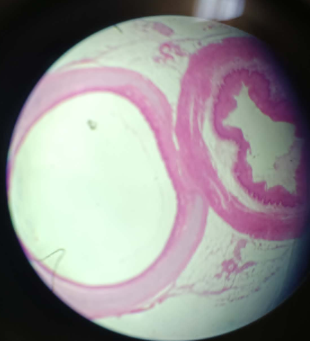 <p>What is this?</p>