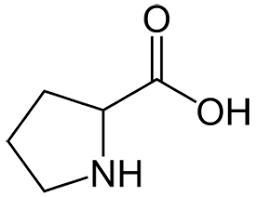 <ul><li><p>alpha C is within a ring </p></li><li><p>2’ amine affect ability to H bond</p></li><li><p>conformationlly inflexible</p></li></ul><p></p>