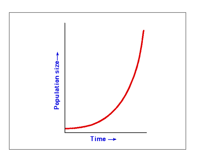 <p>koks čia modelis?</p>
