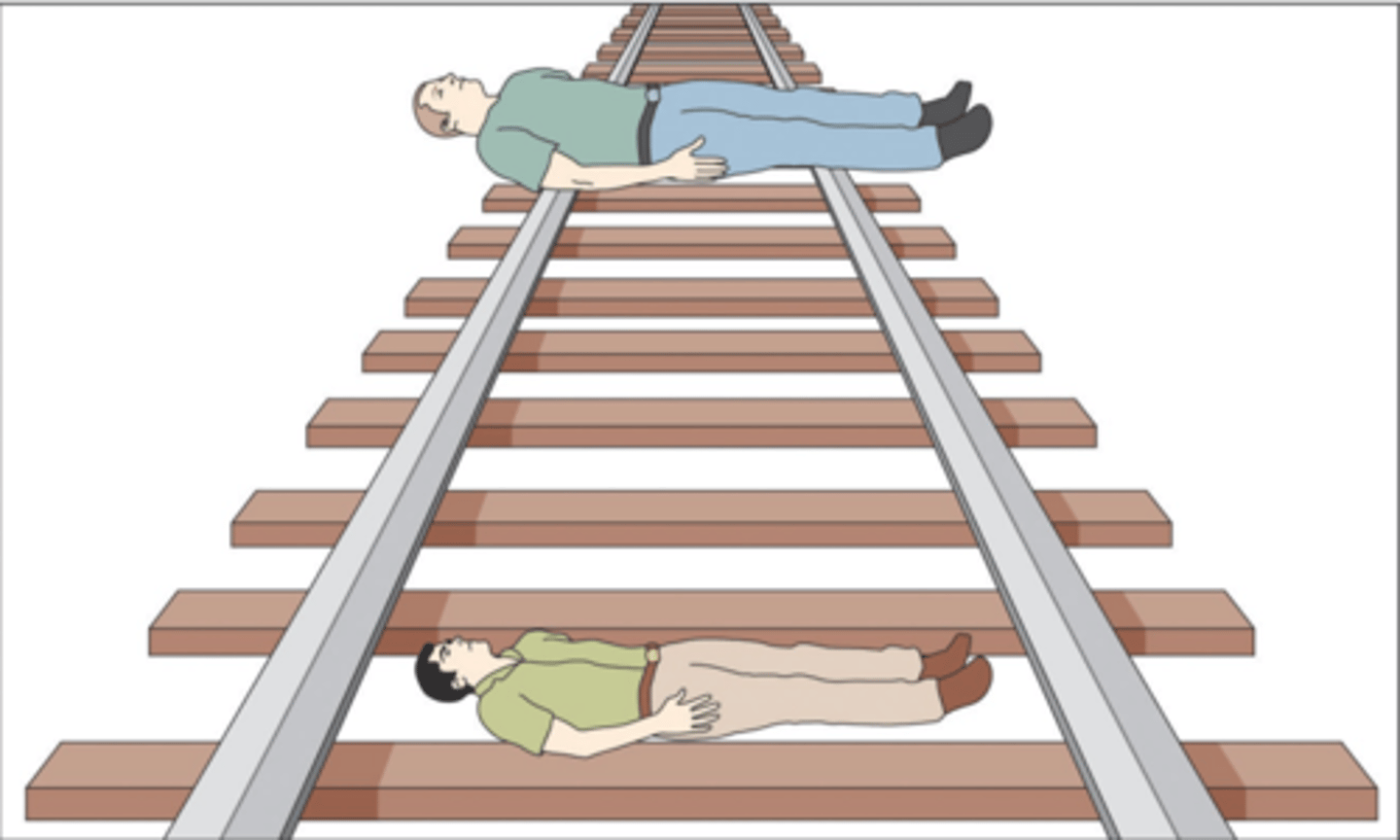 <p>Illusions (eg Ponzo illusions)</p>