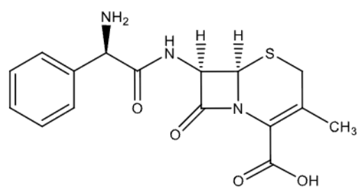 <p>name</p>