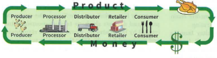 <p>A series of links connecting a commodity’s many places of production, distribution, and consumption.</p>