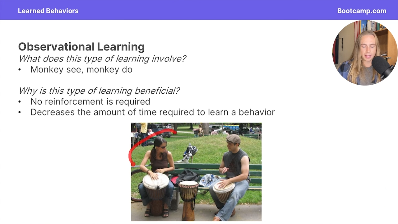 <p>learning by observing others </p>