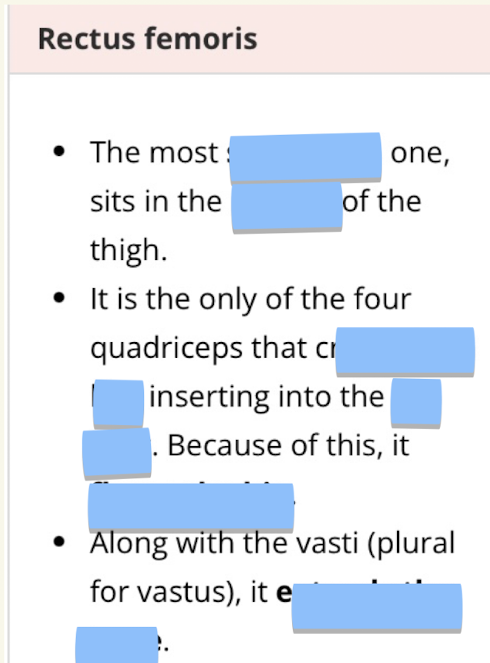 <p>Fill in the blanks for the Rectus Femoris</p>