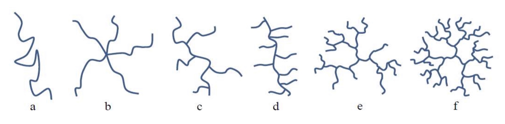 <ul><li><p><span>Linear</span></p></li><li><p><span>Star polymer</span></p></li><li><p><span>Chain branched</span></p></li><li><p><span>Comb polymer</span></p></li><li><p><span>Hyper branched</span></p></li><li><p><span>Dendrimer</span></p></li></ul><p></p>