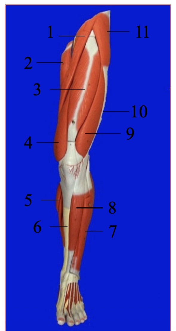 <p>what is #6</p>
