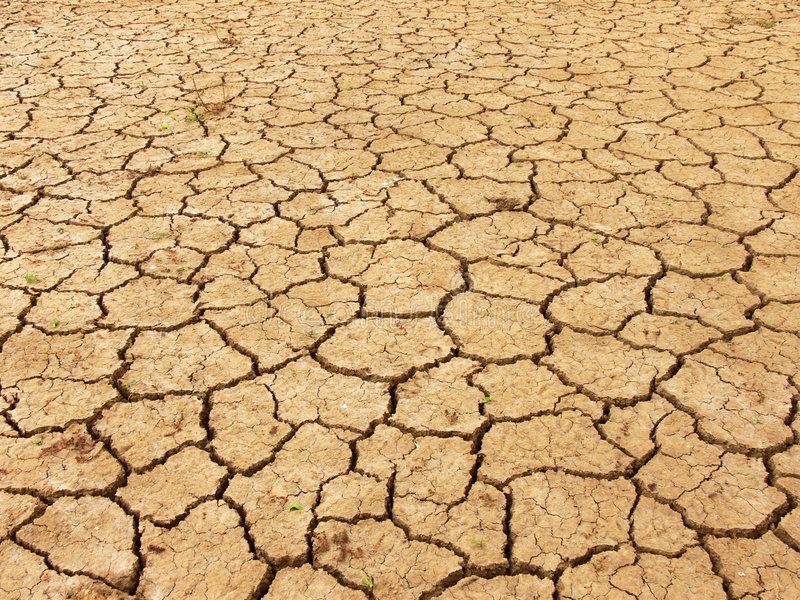 <p>Dry</p>