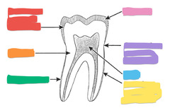 <p>ID Red region</p>