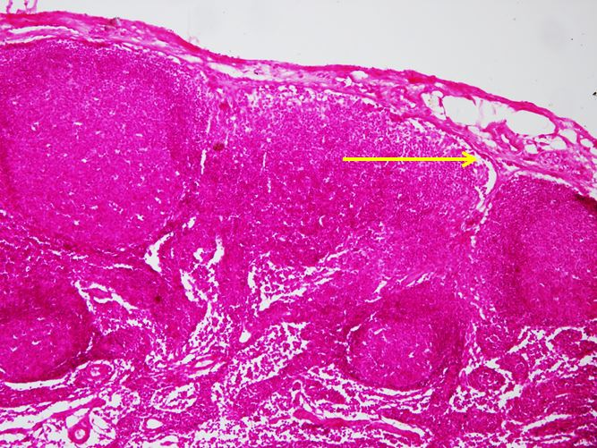 <p>Cấu trúc gì ?</p>