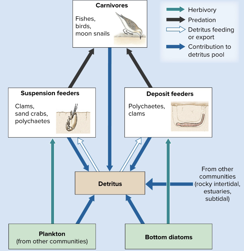 knowt flashcard image
