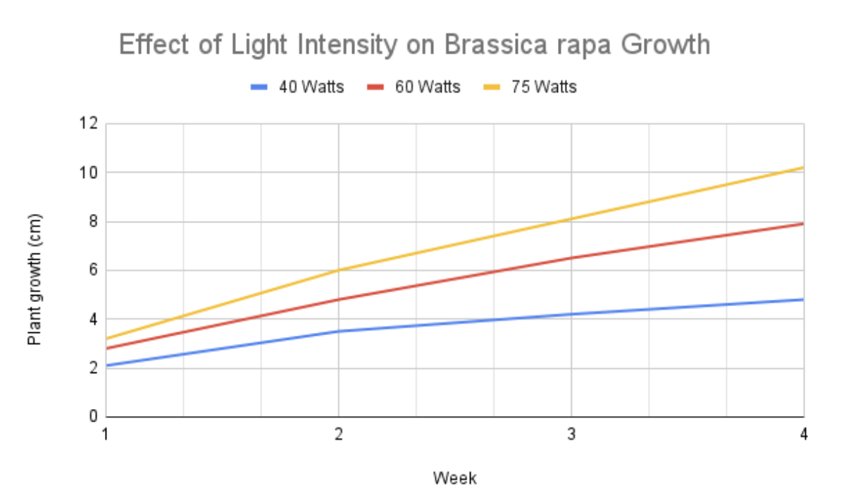 <p><span style="line-height: 1.5;"><br>14. Students at Columbus State Community College are conducting experiments on the effects of light intensity on the growth of Brassica rapa. Observe the graph below.<br><br>Based on the results, why would light intensity affect plant growth?</span></p><p><span style="line-height: 1.5;">A. Plants will grow taller because water is important for photosynthesis.</span></p><p><span style="line-height: 1.5;">B. Plants will grow taller if exposed to higher light intensity because light is essential for photosynthesis.</span></p><p><span style="line-height: 1.5;">C. Plants will grow taller because they need soil nutrients.</span></p><p><span style="line-height: 1.5;">D. Plants will grow taller regardless of light intensity because genetics determine growth.</span></p>