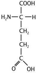 <p>negatively charged, acidic</p>