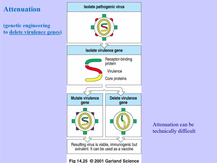 <p>Attenuation </p>