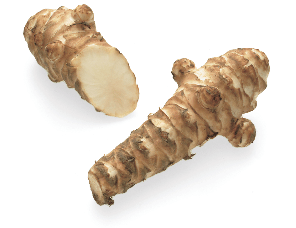 <p>Jerusalem artichokes / Topinambo</p>