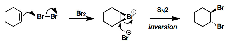 <p>anti addition of Br2 across the double bond</p>