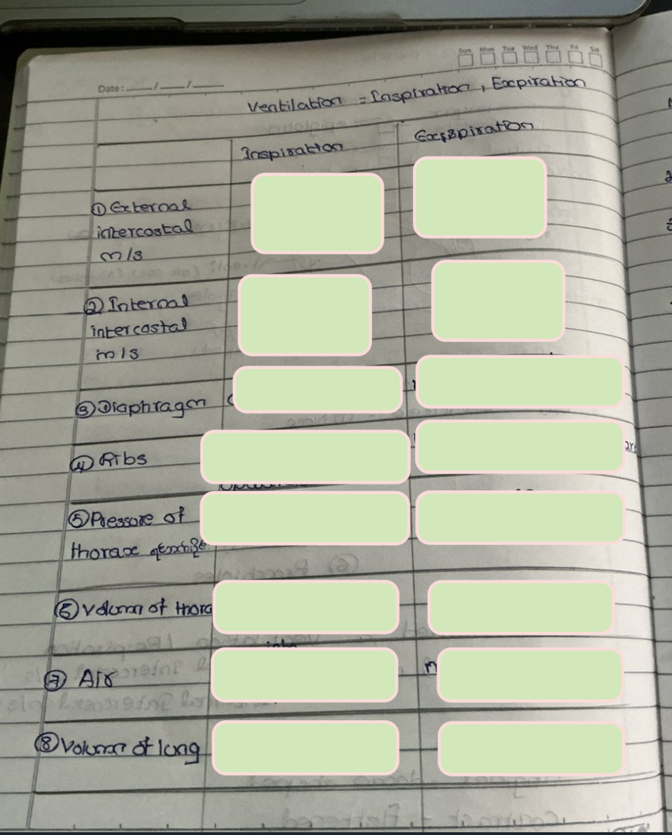 <p><span style="background-color: transparent;">OBJQ<br>Explain the differences between inspiration and expiration</span></p>