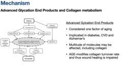 <p>B) Advanced Glycation End Products (AGE)</p>