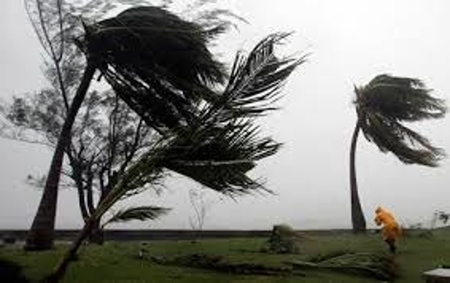 <p>very high wind</p><p>những cơn gió có sức mạnh cấp gió giật rất mạnh</p>